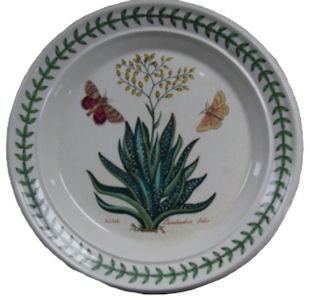 Portmeirion Botanical Garden