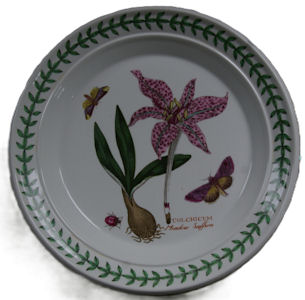 Portmeirion Botanical Garden