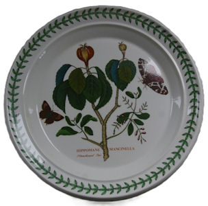 Portmeirion Botanical Garden